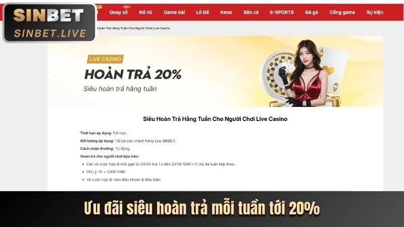 Các chương trình bbet khuyến mãi đa dạng