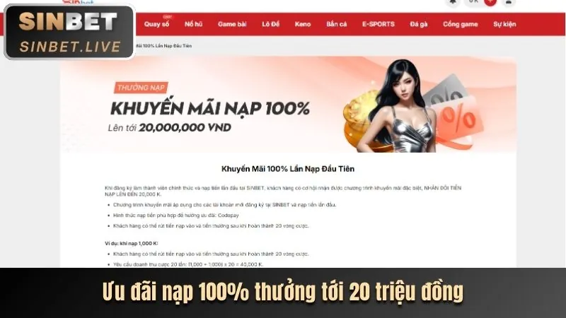 Tổng quan các loại bbet khuyến mãi